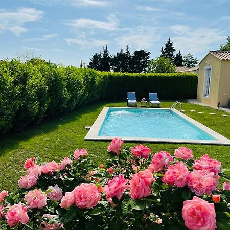 فندق Un Coin Tropical En Provence ! LʼIsle-sur-la-Sorgue المظهر الخارجي الصورة