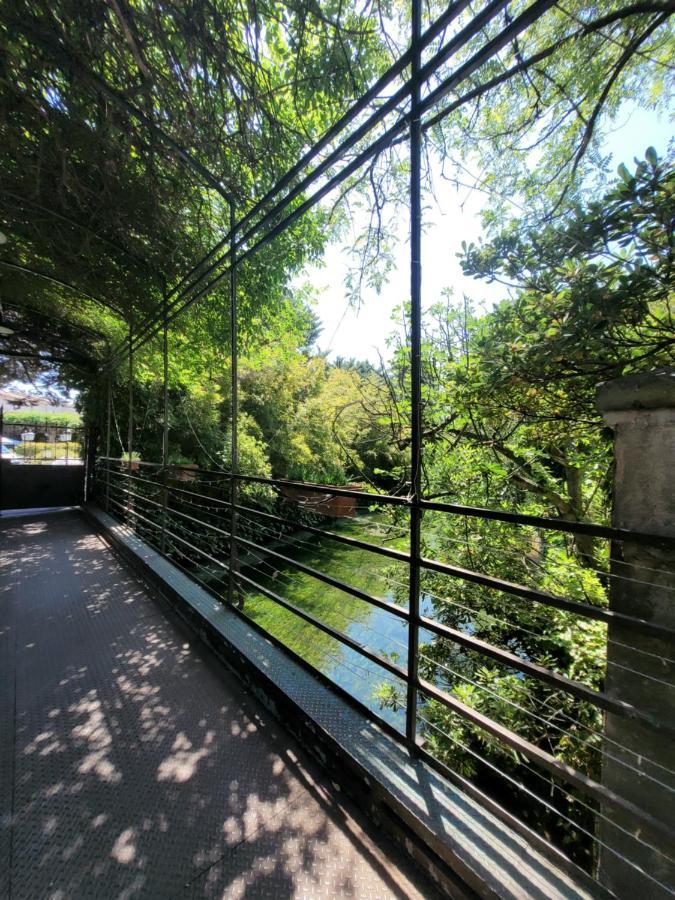 فندق Un Coin Tropical En Provence ! LʼIsle-sur-la-Sorgue المظهر الخارجي الصورة